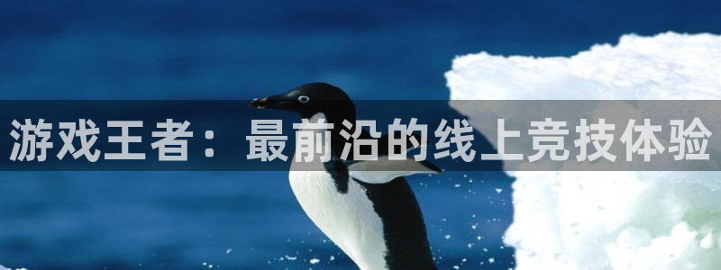 蓝冠娱乐2首页登录：游戏王者：最前沿的线上竞技体验