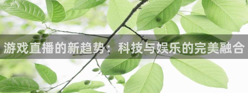 蓝冠娱乐娱乐：游戏直播的新趋势：科技与娱乐的完美融合