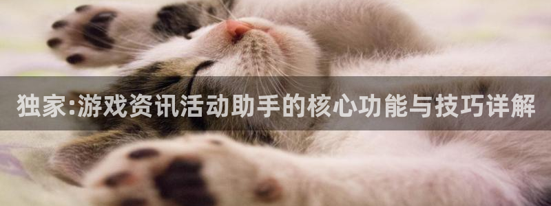 蓝冠娱乐下载链接：独家:游戏资讯活动助手的核心功能与技巧详解