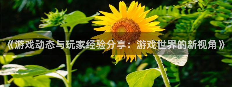 蓝冠娱乐4主管：《游戏动态与玩家经验分享：游戏世界的新视角》