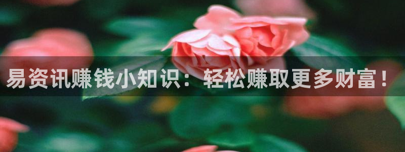 蓝冠娱乐平台登录：易资讯赚钱小知识：轻松赚取更多财富！