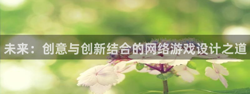 蓝冠娱乐4开户：未来：创意与创新结合的网络游戏设计之道