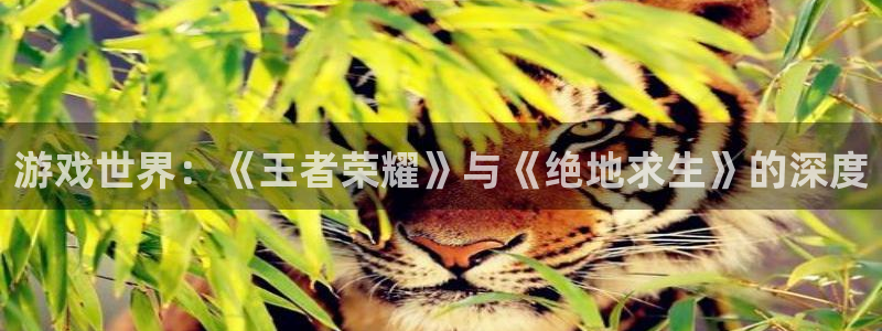 蓝冠娱乐网址官网：游戏世界：《王者荣耀》与《绝地求生》的深度