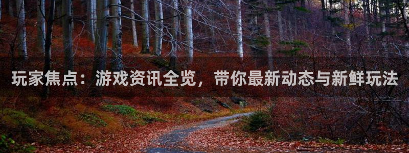 蓝冠娱乐网页登录入口下载：玩家焦点：游戏资讯全览，带你最新动