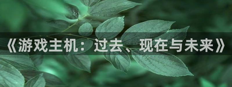 蓝冠娱乐4开户：《游戏主机：过去、现在与未来》