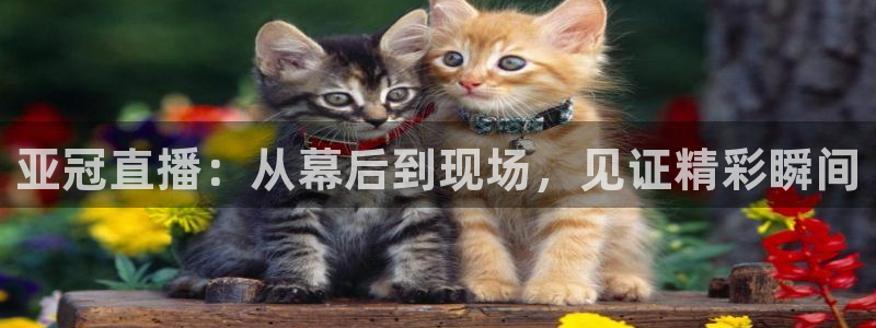 919直播间现场直播