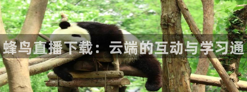 919体育直播安卓版：蜂鸟直播下载：云端的互动与学习通