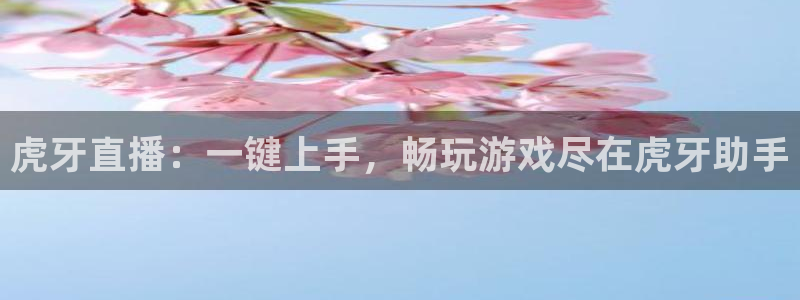919看球软件：虎牙直播：一键上手，畅玩游戏尽在虎牙助手