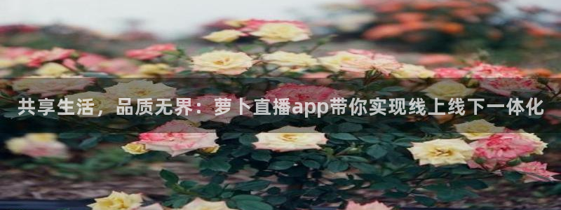 919直播看球：共享生活，品质无界：萝卜直播app带你实现线上线下一体化