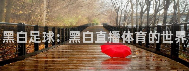 919体育直播平台在线观看：黑白足球：黑白直播体育的世界