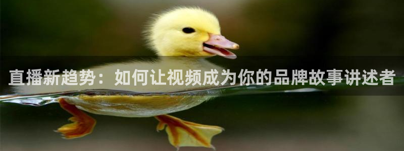 919看足球直播：直播新趋势：如何让视频成为你的品牌故事讲述者