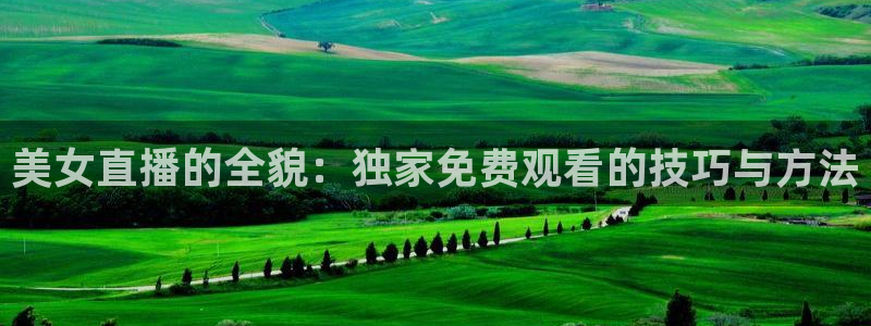 919看足球直播：美女直播的全貌：独家免费观看的技巧与方法