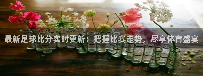 919球赛直播：最新足球比分实时更新：把握比赛走势，尽享体育盛宴
