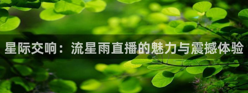 919直播间现场直播：星际交响：流星雨直播的魅力与震撼体验