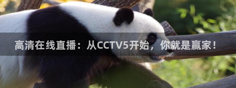 nba直播919：高清在线直播：从CCTV5开始，你就是赢家！